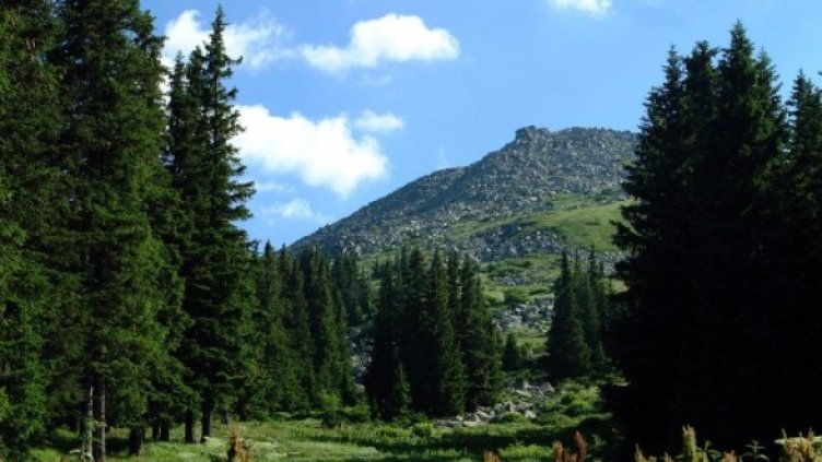 Снимка: Булфото