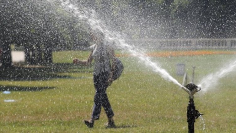 Снимка: Булфото