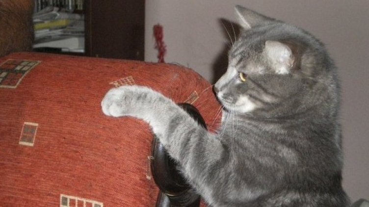 Снимка: Dnes.bg