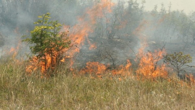 Стихията край Стара Загора. Снимка: БГНЕС