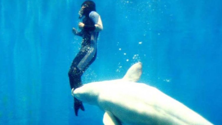 Белугата в момента, в който улавя замръзналото от студ момиче. Снимка: news.com.au