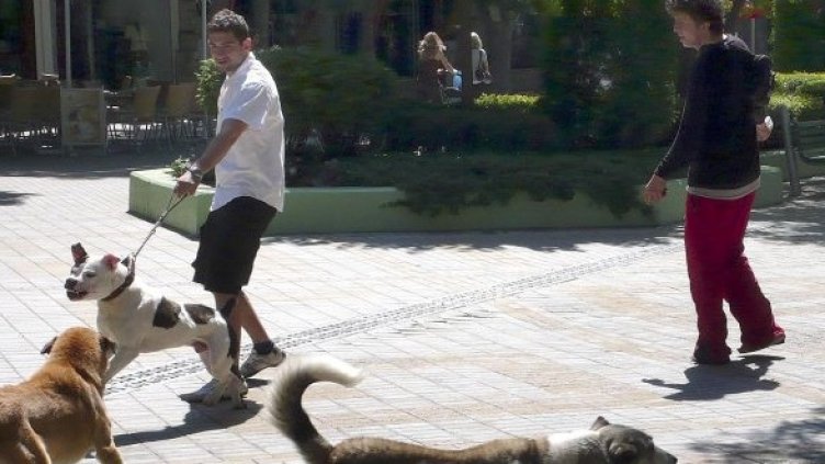 Снимка: Булфото