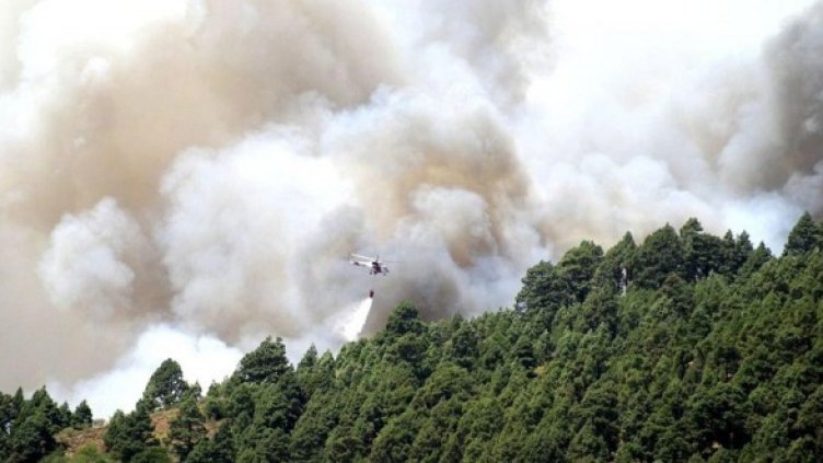 500 пожарникари се борят с огъня. Снимка: БГНЕС