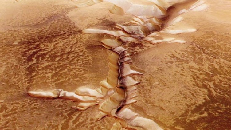 Снимки: Getty Images/Guliver Photos