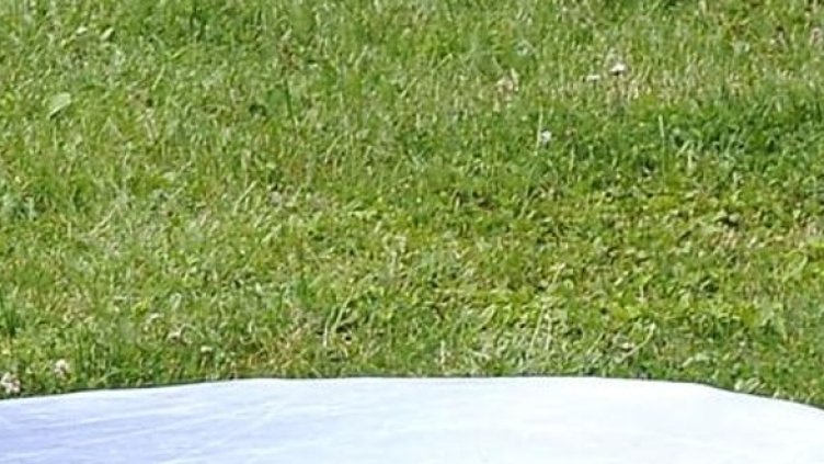 Снимка: Булфото