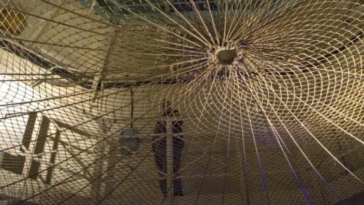 Снимка: Булфото