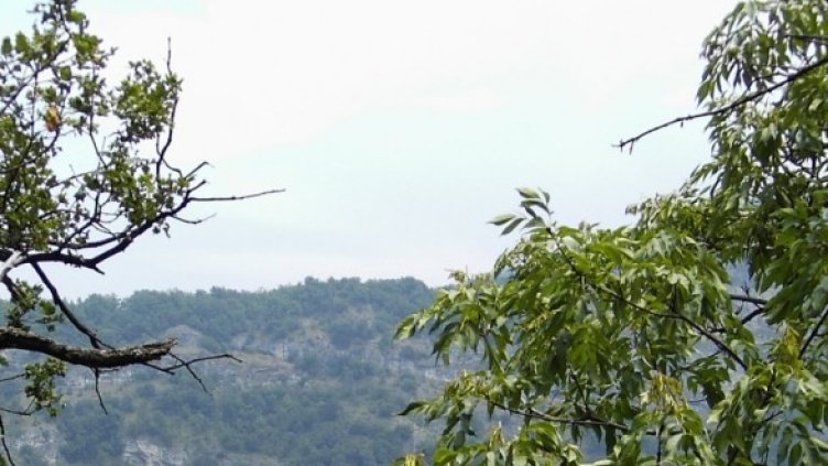 Снимка: Булфото