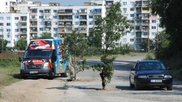 Снимка: Булфото