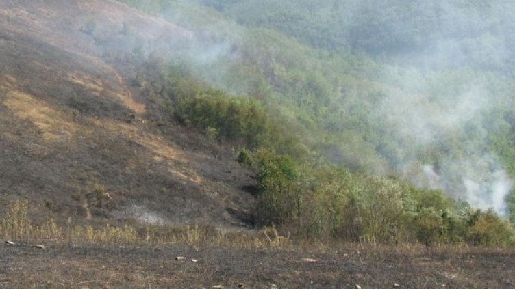 Снимка: БГНЕС