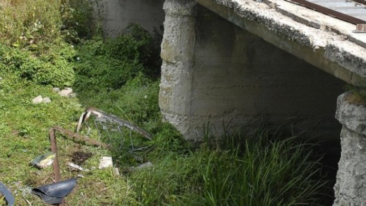 Снимка: Булфото