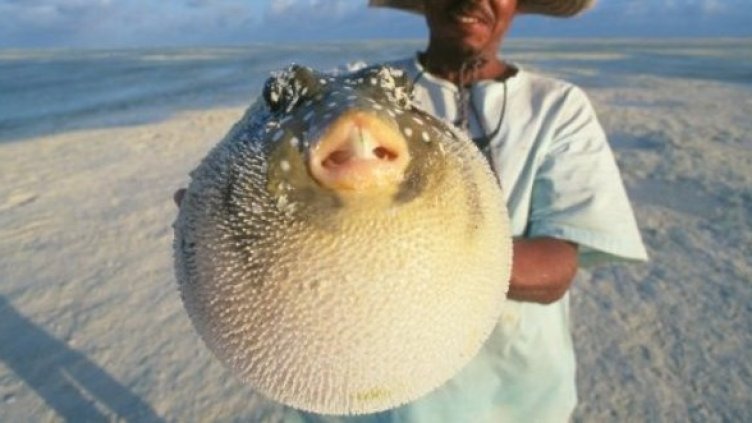 Снимка: Getty Images/Gulliver Photos