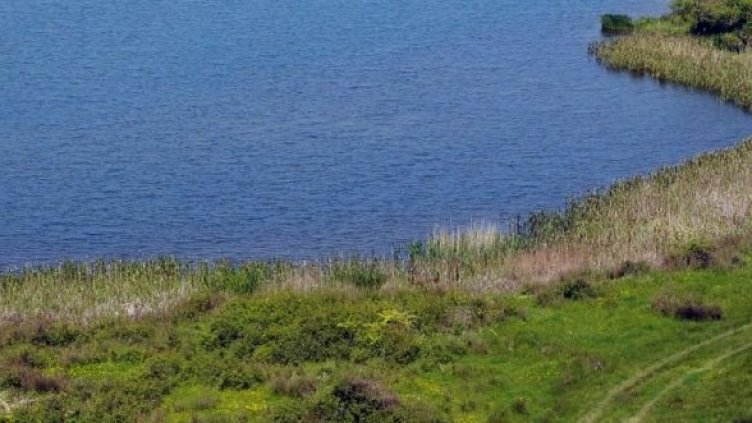 Снимка: Булфото