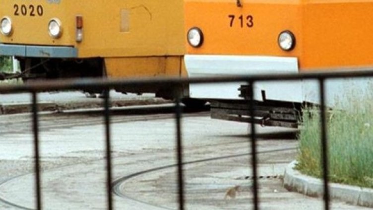 Снимка: Булфото