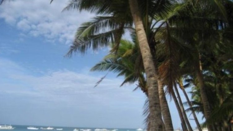 Този епизод на Сървайвър се провежда на Филипините. Снимка: БГНЕС