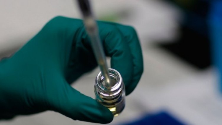 Снимка: GettyImages/Guliver Photos