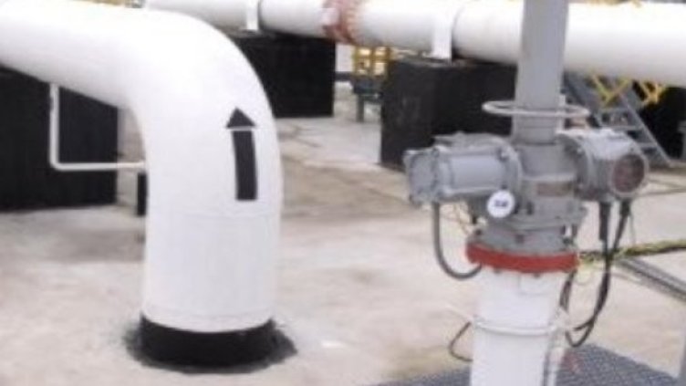 Снимка: Булфото