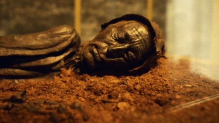 Снимка: Getty Images/Guliver Photos