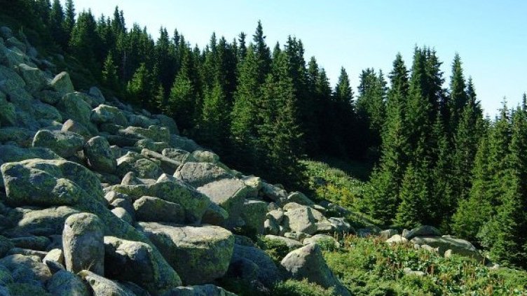 Снимка: Булфото