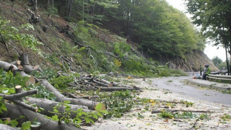 Снимка: БГНЕС