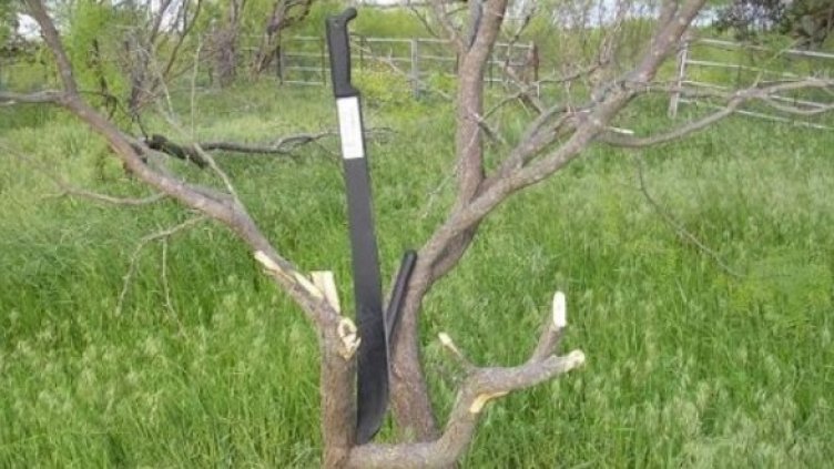 Снимка: Getty Images/Guliver Photos