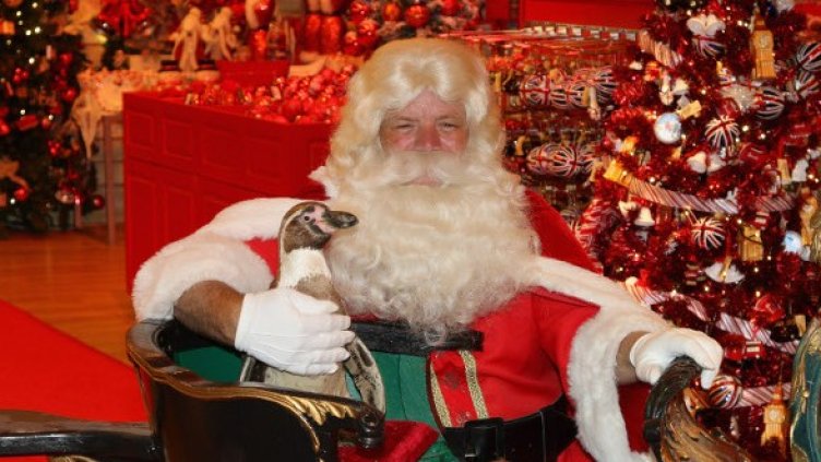 Снимка: Getty Images/Guliver Photos