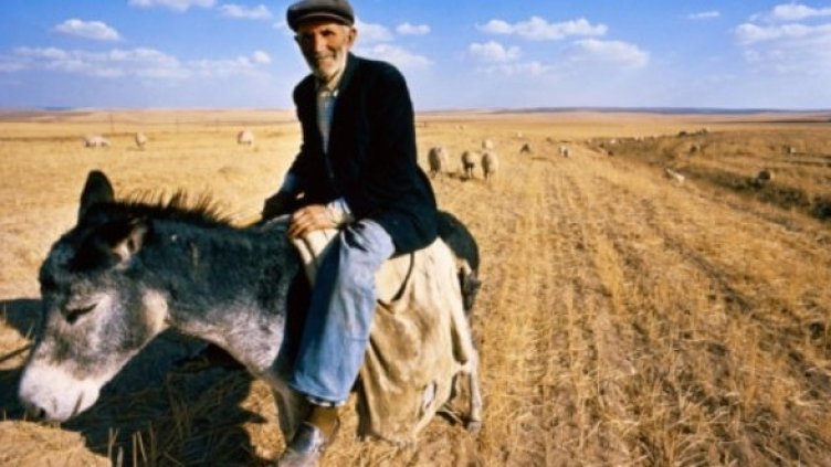 Снимка: Getty Images/Guliver Photos