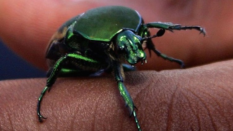 Снимка: Getty Images/Guliver Photos