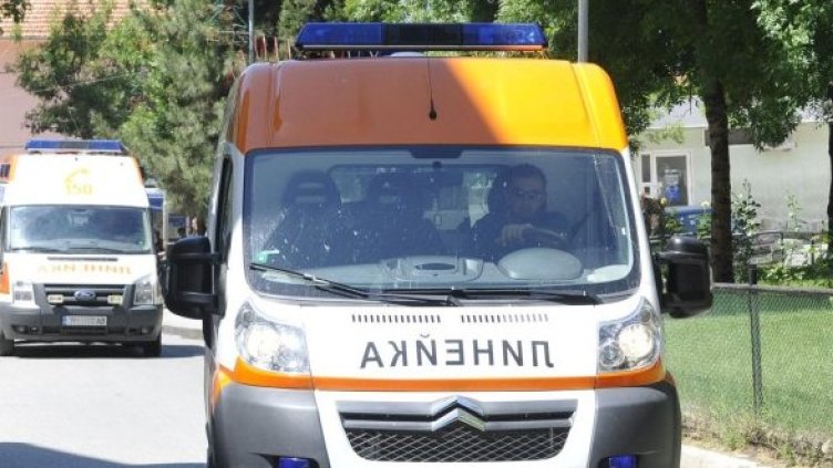 Снимка: Булфото