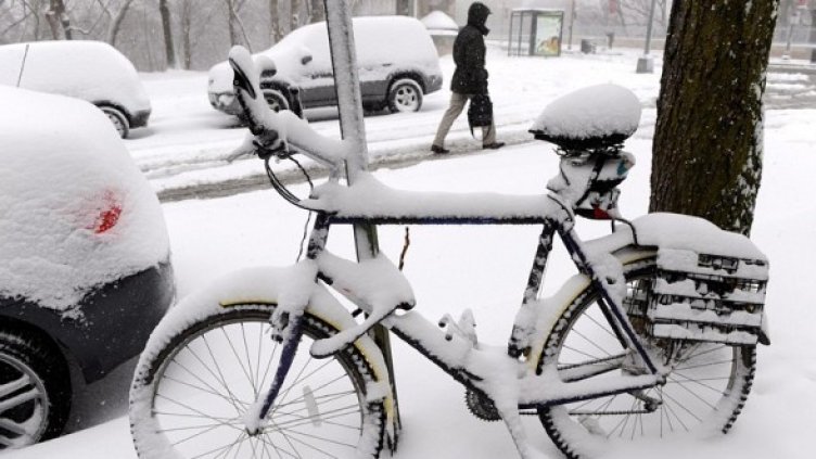 Снимка: БГНЕС