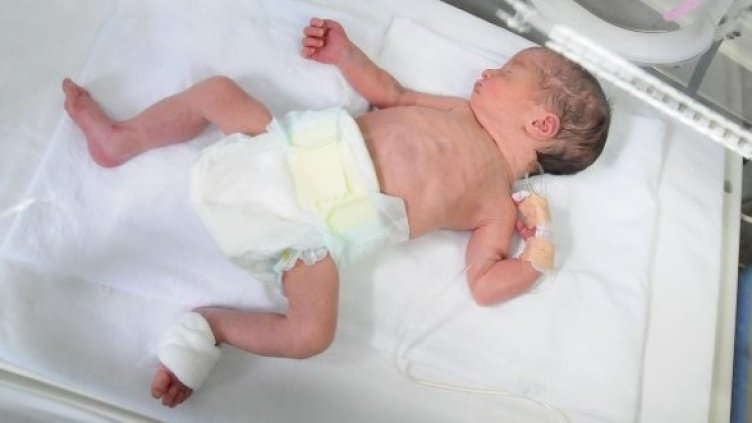 Снимка: Булфото