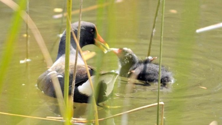 Снимка: Булфото