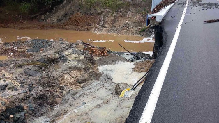 БГНЕС, архив