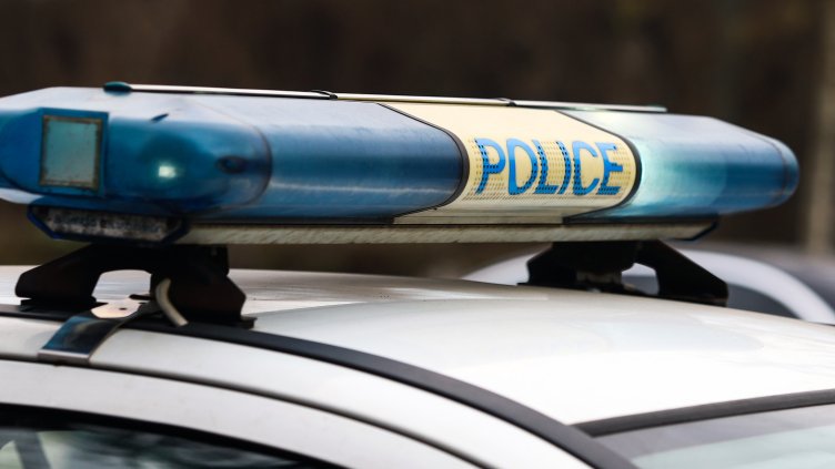 Снимка: архив, БГНЕС