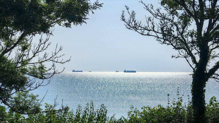 БГНЕС