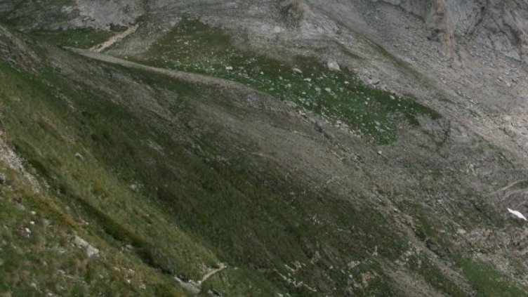 Снимка: Булфото