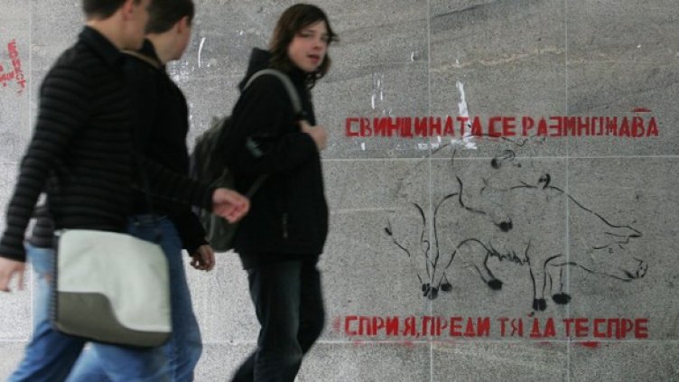 Свинският грип вече е тема и на народно творчество. Снимка: БГНЕС