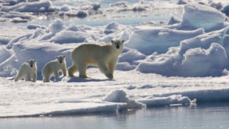 Снимка: Getty Images/Guliver Photos