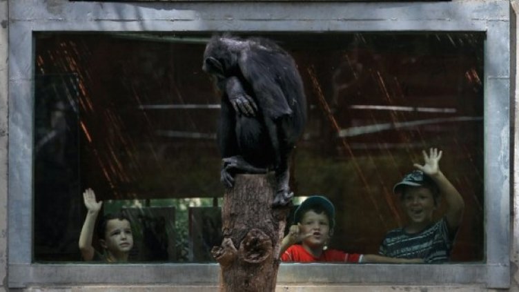 Снимка: Getty Images/Guliver Photos
