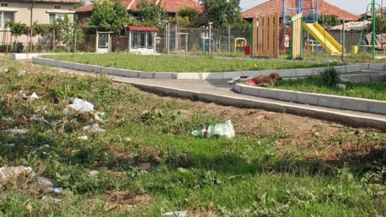 Снимка: БГНЕС