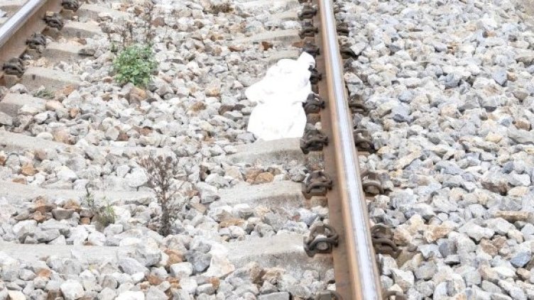 Снимка: Булфото