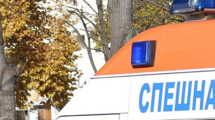 Снимка: Булфото