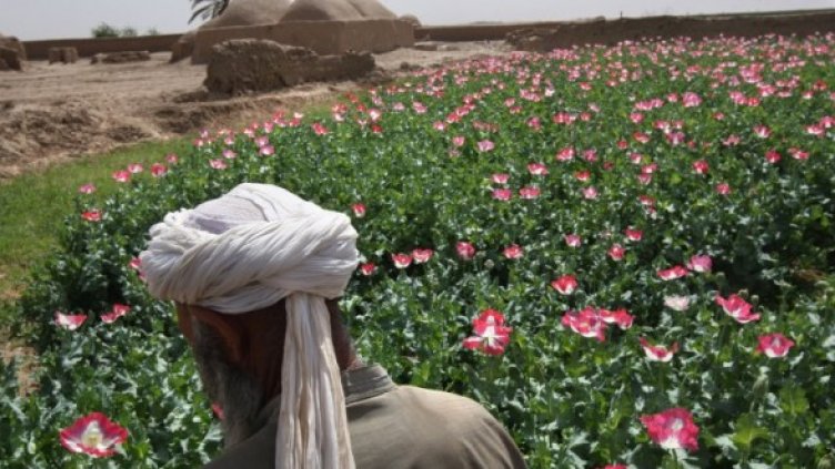 Снимка: Getty Images/Guliver Photos