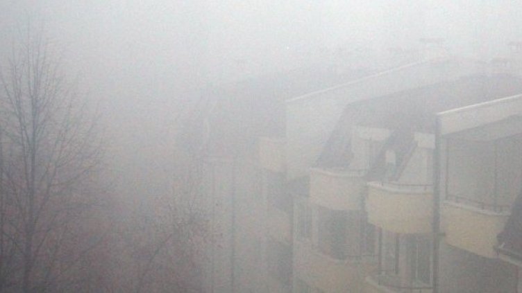Снимка: Булфото