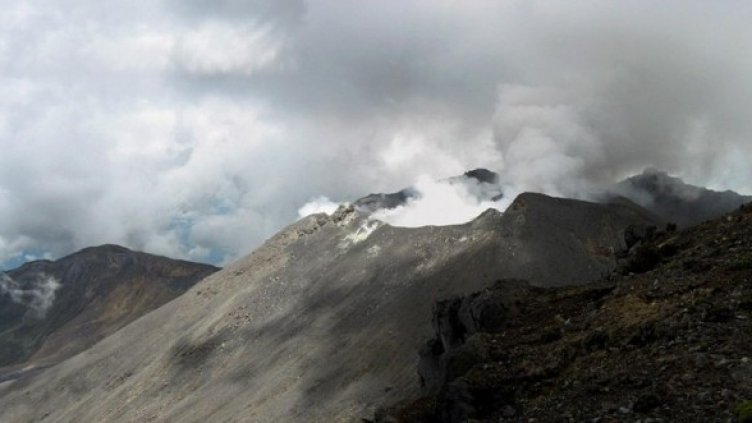 Снимки: БГНЕС