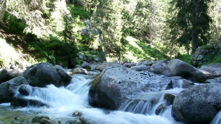 Снимка: Булфото