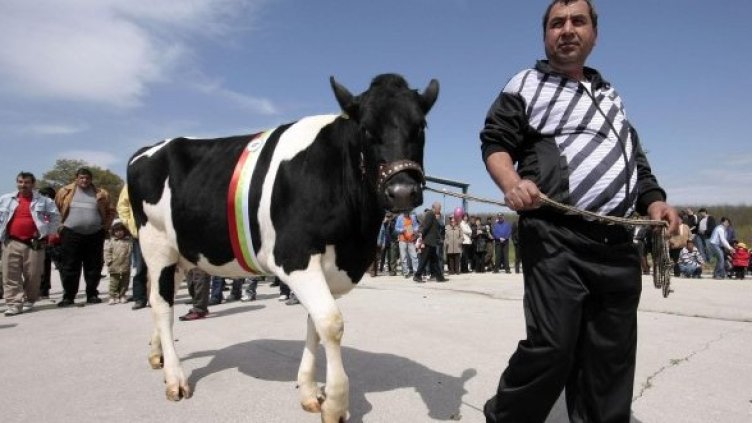 Снимка: Булфото