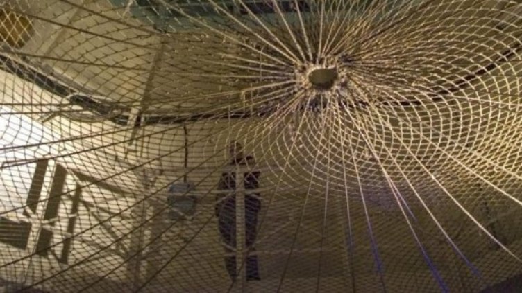 Снимка: Булфото