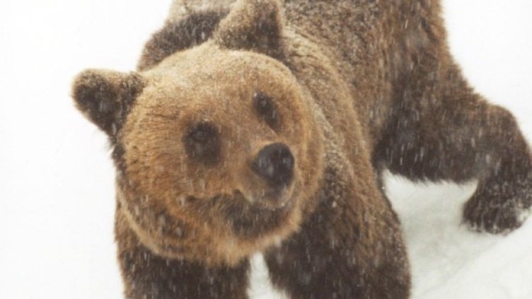 Снимка: Булфото