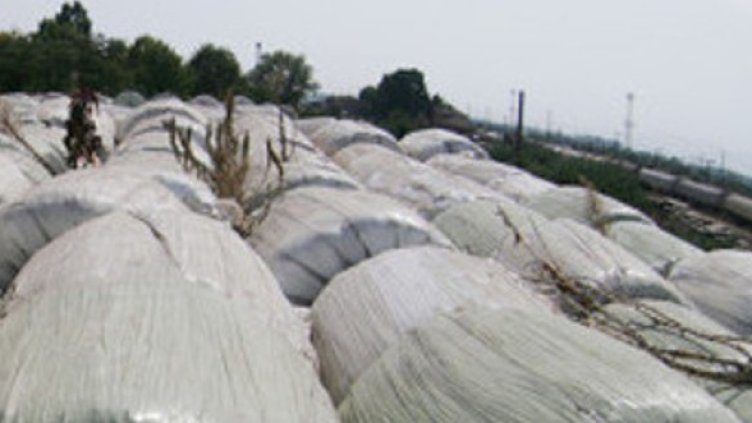 Снимка: Булфото