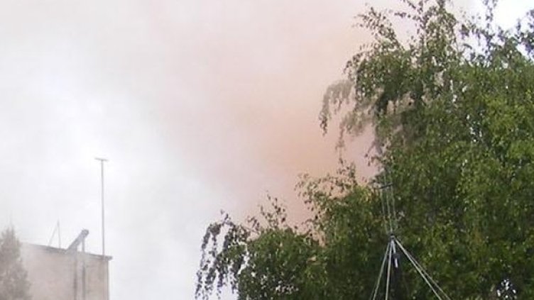 Снимка: Булфото